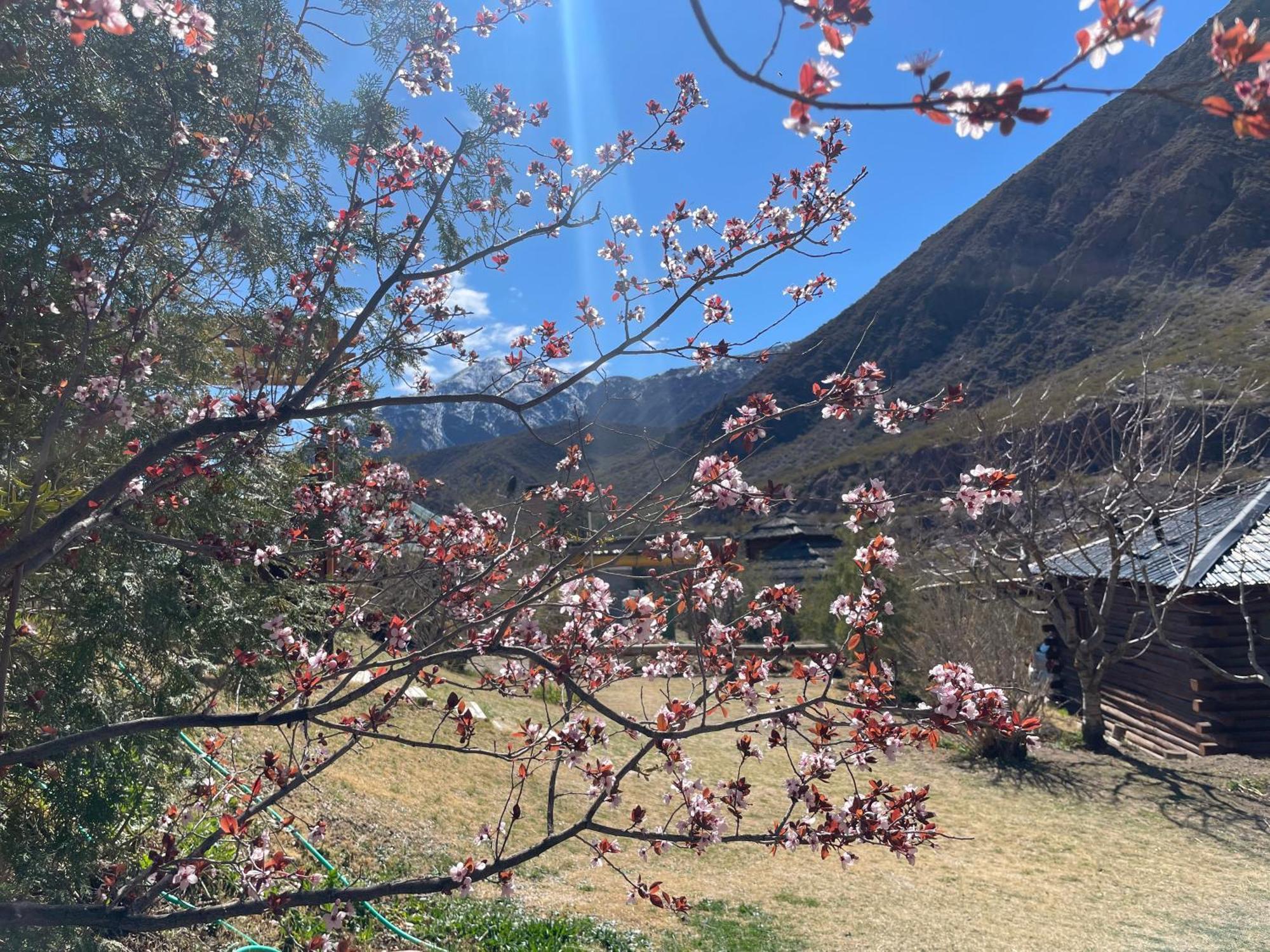 Del Rio - Ruta Internacional 7 - Kilometro 1108 Chalet Potrerillos